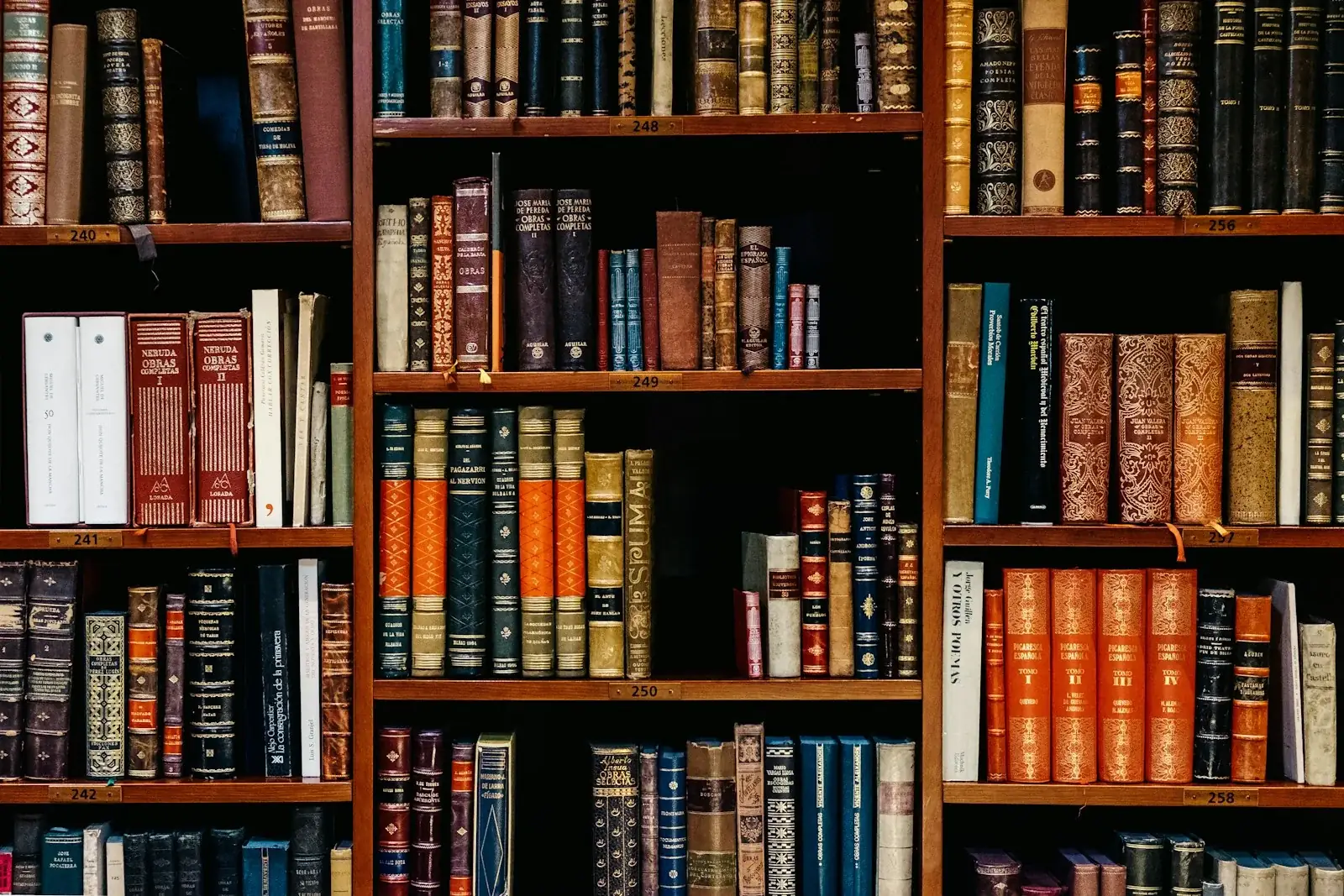 CLAT preparation books and gavel